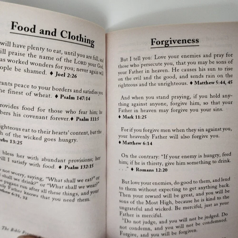 The Bible Promise Book: 1.000 Promises from Gods treasured resource